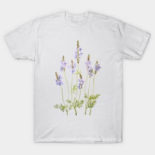 purple fernleaf lavender watercolor T-Shirt